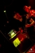 bra_019_2584.jpg bra_019_2584.jpg