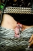 bra_065_7290.jpg bra_065_7290.jpg
