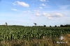 z_5313.jpg z_5313.jpg