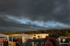 bra_004_1611.jpg bra_004_1611.jpg