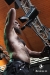 zIMG_4626.jpg zIMG_4626.jpg