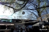 zIMG_4437.jpg zIMG_4437.jpg