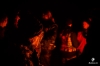 bra_049_0035.jpg bra_049_0035.jpg