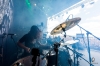bra_143_14_benighted_7553.jpg bra_143_14_benighted_7553.jpg
