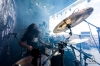 bra_144_14_benighted_7556.jpg bra_144_14_benighted_7556.jpg