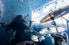 bra_146_14_benighted_7566.jpg bra_146_14_benighted_7566.jpg