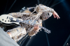 bra_216_4940.jpg bra_216_4940.jpg