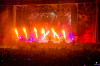 bra_308_6613.jpg bra_308_6613.jpg