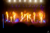bra_313_6833.jpg bra_313_6833.jpg