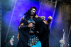 bra_382_7780.jpg bra_382_7780.jpg