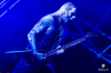 bra_150_10_belphegor_9073.jpg bra_150_10_belphegor_9073.jpg