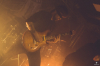 bra_017_4787.jpg bra_017_4787.jpg
