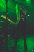 bra_110_6330.jpg bra_110_6330.jpg