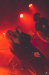 bra_114_6383.jpg bra_114_6383.jpg