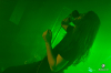bra_036_8474.jpg bra_036_8474.jpg